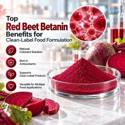 Top Red Beet Betanin Benefits for Clean-Label Food Formulation